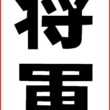 Shogun logo.