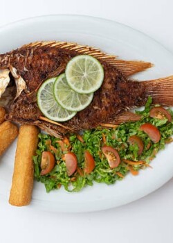 Traditional Colombian fried fish (Mojarra Frita), a whole tilapia served with fried yuca sticks and fresh salad, a typical main course from the Caribbean coast of Colombia, isolated on a white background.